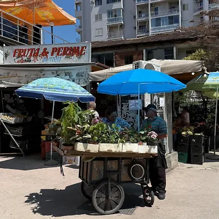Palita -